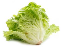 alface frisada verde bio embalada kg product image