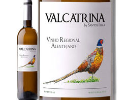 vinho branco valcatrina alentejo 0.75l product image