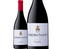 vinho tinto ribeiro santo 0.75l product image