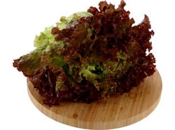 Imagem do produto alface roxa kg