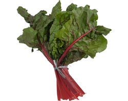 Imagem do produto acelga kg