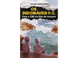 Imagem do produto livro os indomáveis fc álvaro magalhães