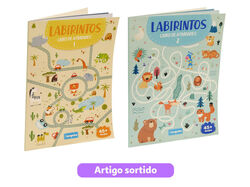 Imagem do produto livro labirintos