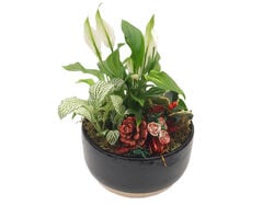 Imagem do produto arranjo de plantas decoração natal vaso 21 modelos sortidos