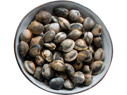 Imagem do produto ameijoa japonesa grande 500g