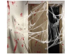 Imagem do produto teias de aranha topbrands 20g