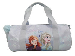 Imagem do produto saco viagem frozen