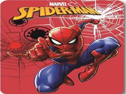 Imagem do produto manta polar homespecial 100x140