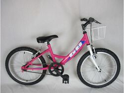bicicleta 20" goldbike menina cesta product image