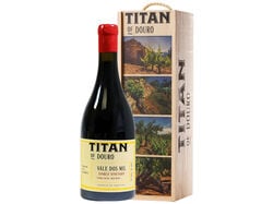 vinho tinto titan vale dos mil douro 1.5l product image