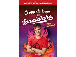 Imagem do produto livro o mundo louco de enaldinho