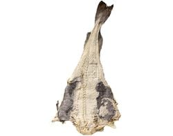 Imagem do produto bacalhau especial jumbo kg