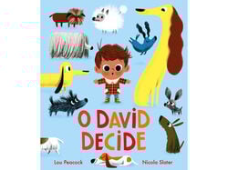 Imagem do produto livro o david decide
