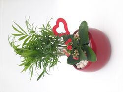 Imagem do produto arranjo de plantas em vaso decoração namorados vaso 15