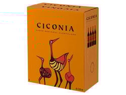 vinho tinto ciconia alentejo bag in box 3l product image
