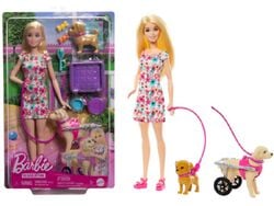 boneca barbie passeia o cão doente product image