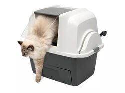 Imagem do produto wc para gatos catit smart sift