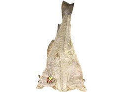 Imagem do produto bacalhau graudo cura amarela inteiro kg