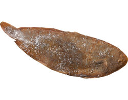 Imagem do produto linguado fresco inteiro kg
