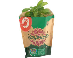 Imagem do produto manjericão auchan produção controlada vaso