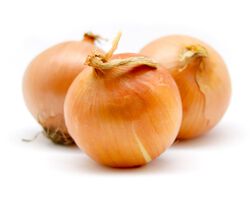 Imagem do produto cebola kg