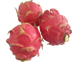 Imagem do produto pitaya vermelha kg