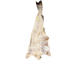 Imagem do produto bacalhau corrente kg