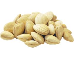 Imagem do produto ameijoa branca congelada kg