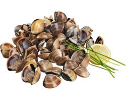 Imagem do produto ameijoa vietnamita castanha congelada kg
