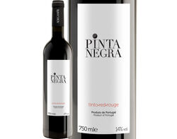vinho tinto pinta negra regional lisboa 0.75l product image