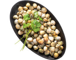 berbigão 1kg product image