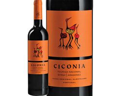 vinho tinto ciconia regional alentejo 0.75l product image