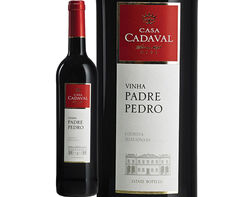 vinho tinto vinha padre pedro 0.75l product image