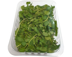 Imagem do produto agrião 200 g