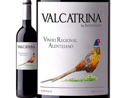vinho tinto valcatrina alentejo 0.75l product image