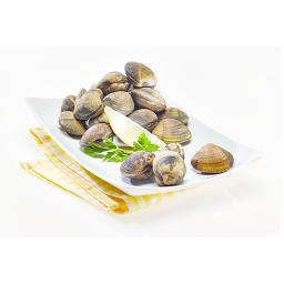 Imagem do produto Ameijoa japonesa, pescada no mar
