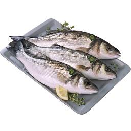 Imagem do produto Robalo de Viveiro