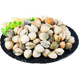 Berbigão Médio product image