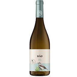 Vinho Dão, Branco product image