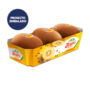 Kiwi Sungold Zespri - Embalagem 0.4 Kg product image