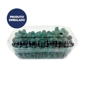 Mirtilos - Embalagem 0.3 Kg product image