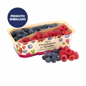 Mix de Framboesa e Mirtilo - Embalagem 0.3 Kg product image