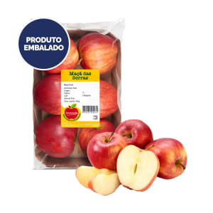 Maçã Gala das Serras - Embalagem 0.8 Kg product image