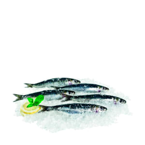 Sardinha Fresca - Unidade 0.14 Kg product image