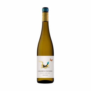 Imagem do produto Vinho Branco Verde Lagarto Pintado Avesso DOC